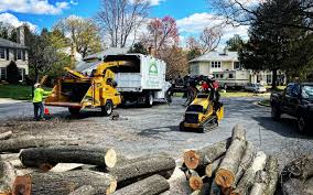 Best Commercial Tree Services  in Gardner, IL