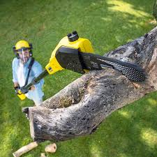 Best Lawn Watering Services  in Gardner, IL