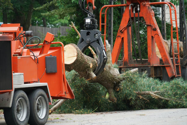 Best Lawn Grading and Leveling  in Gardner, IL