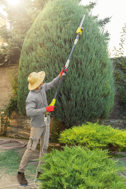 Best Artificial Turf Installation  in Gardner, IL
