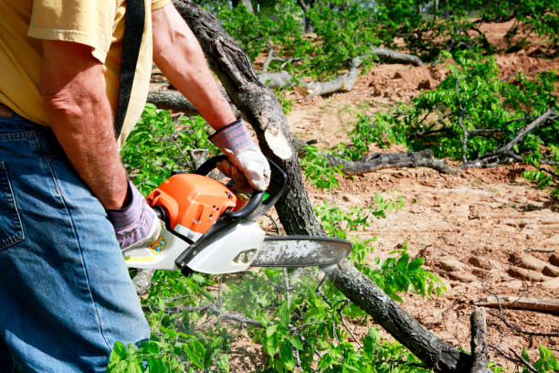 Best Arborist Consultation Services  in Gardner, IL